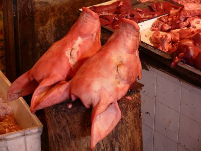 Têtes de cochon sur le marché