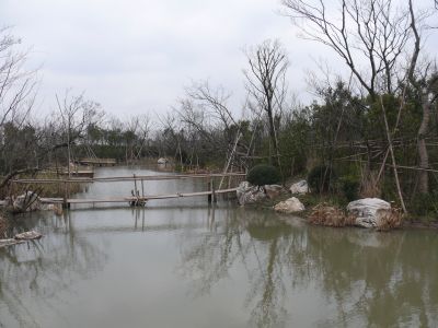 Zones humides du parc Wusong