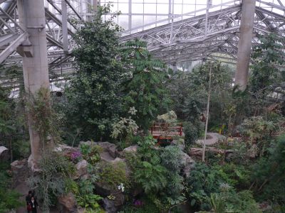La grande serre du jardin botanique