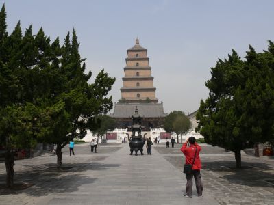 La grande pagode de l'oie sauvage