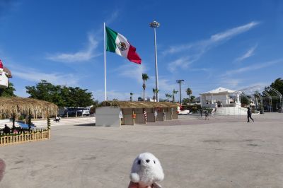 Blanchon devant le drapeau mexicain.