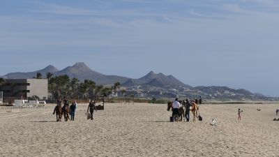 Des chevaux sur la plage.