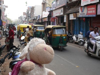 Vodka dans une rue animée d'Agra.