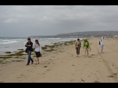 Promenade sur la plage à San Diego.