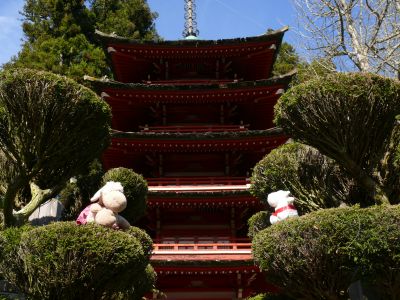 La pagode du Japanese Tea Garden.