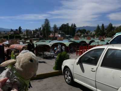 Eddy devant les bateaux de Xochimilco.